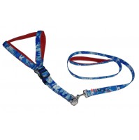 Scoobee Dog Military Style Padded Nylon Harness And Leash Set 1 Inch